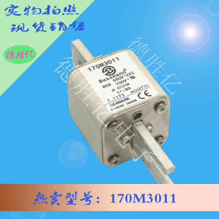 170M3011.jpg 170M3011.jpg