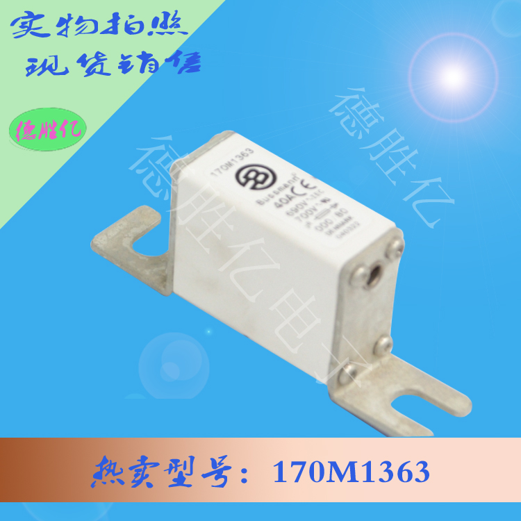 170M1363.jpg 170M1363.jpg