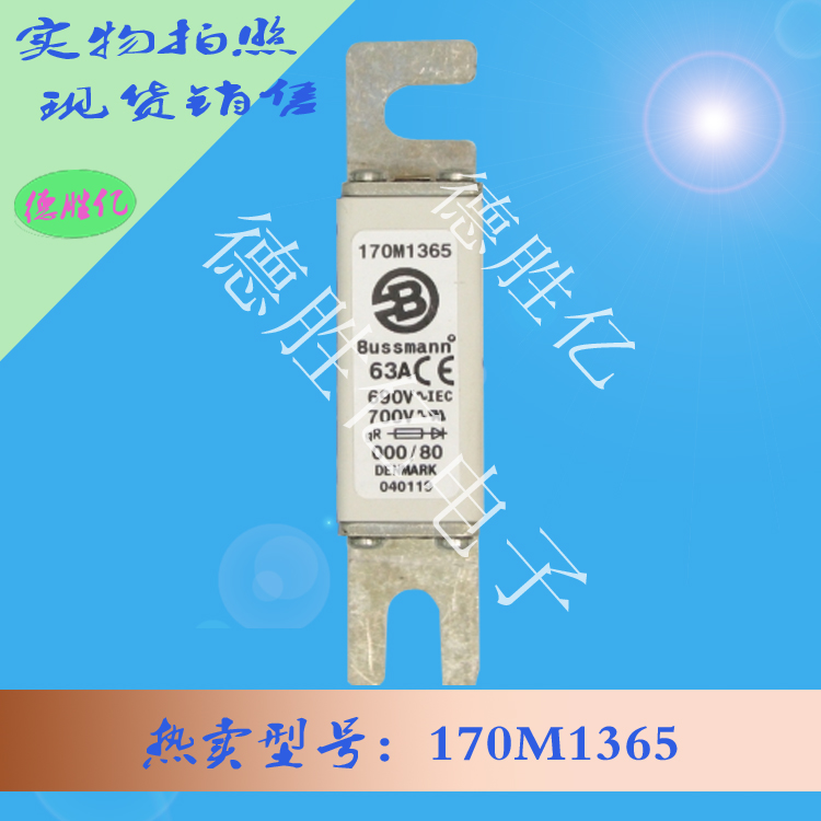 170M1365.jpg 170M1365.jpg