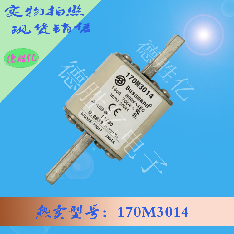 170M3014.jpg 170M3014.jpg