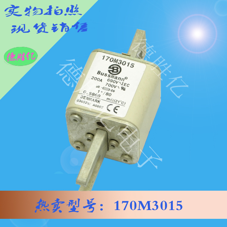 170M3015.jpg 170M3015.jpg