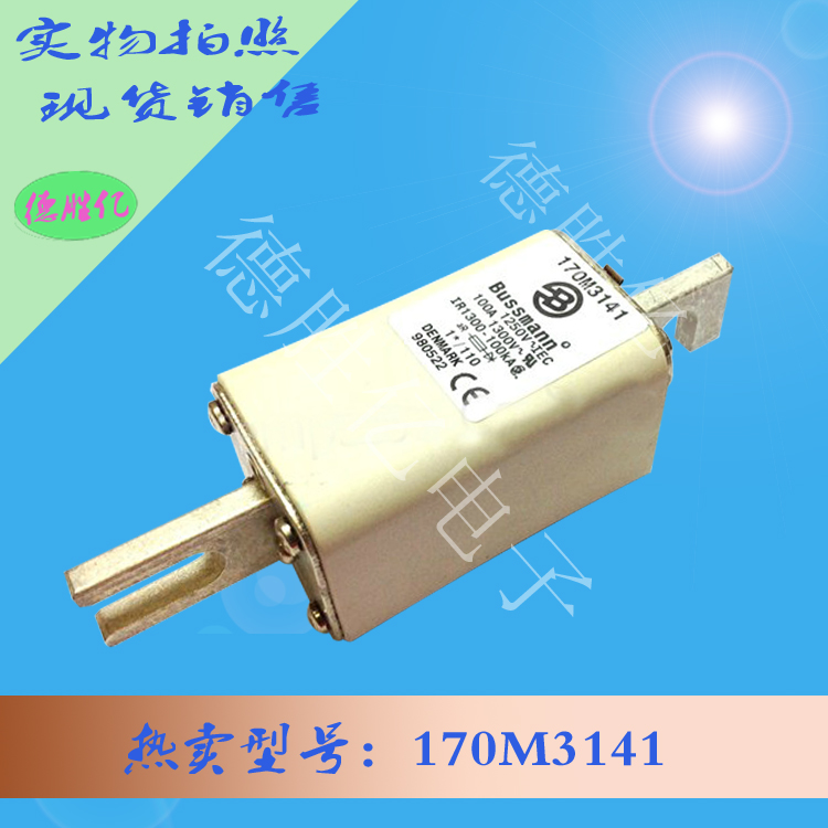 170M3141.jpg 170M3141.jpg