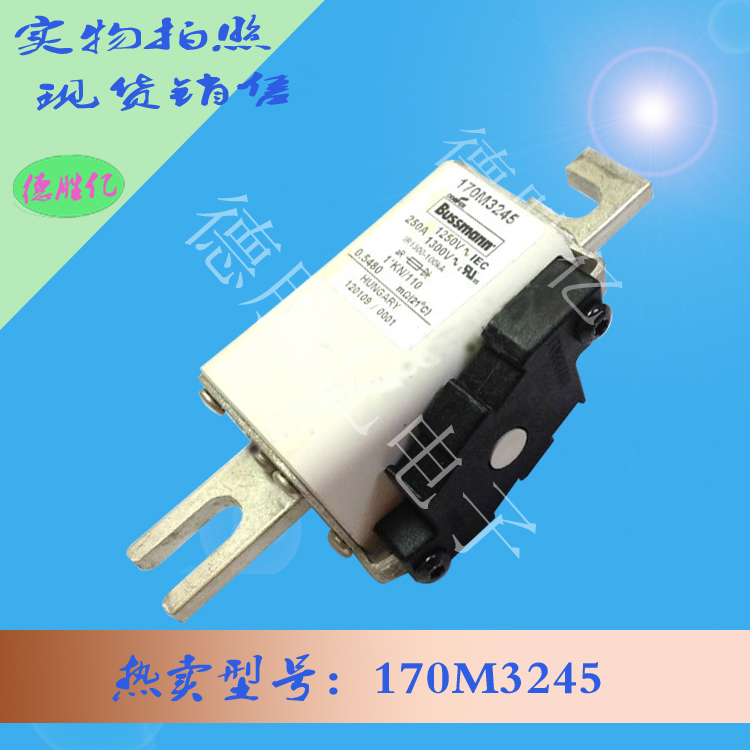 170M3245.jpg 170M3245.jpg