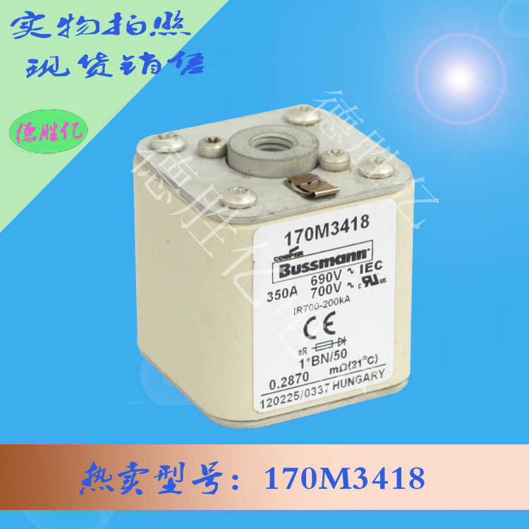 170M3418.jpg 170M3418.jpg