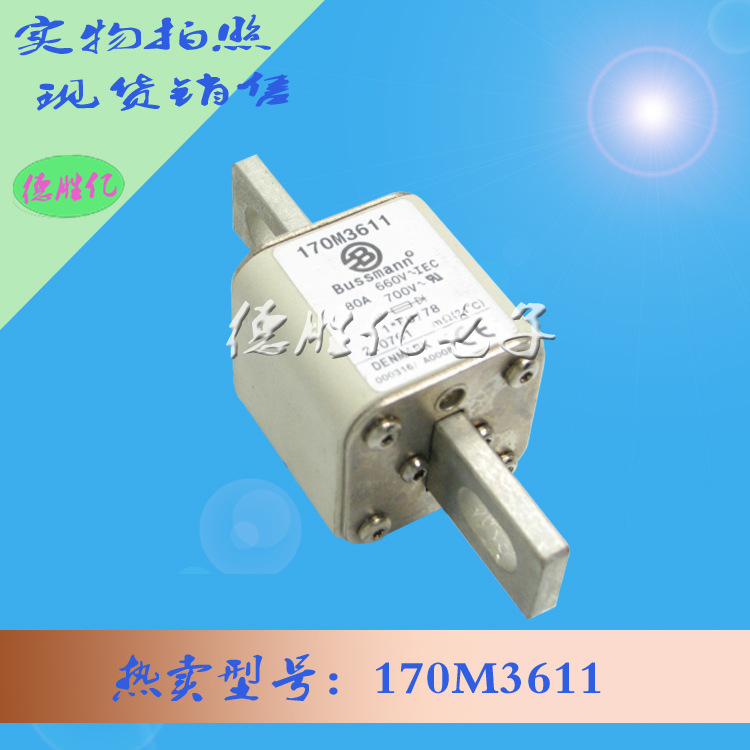 170M3611.jpg 170M3611.jpg