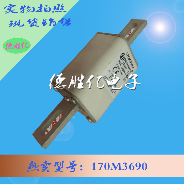 170M3690.jpg 170M3690.jpg