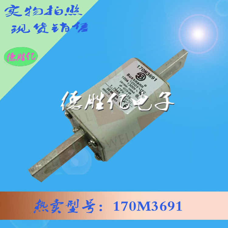 170M3691.jpg 170M3691.jpg