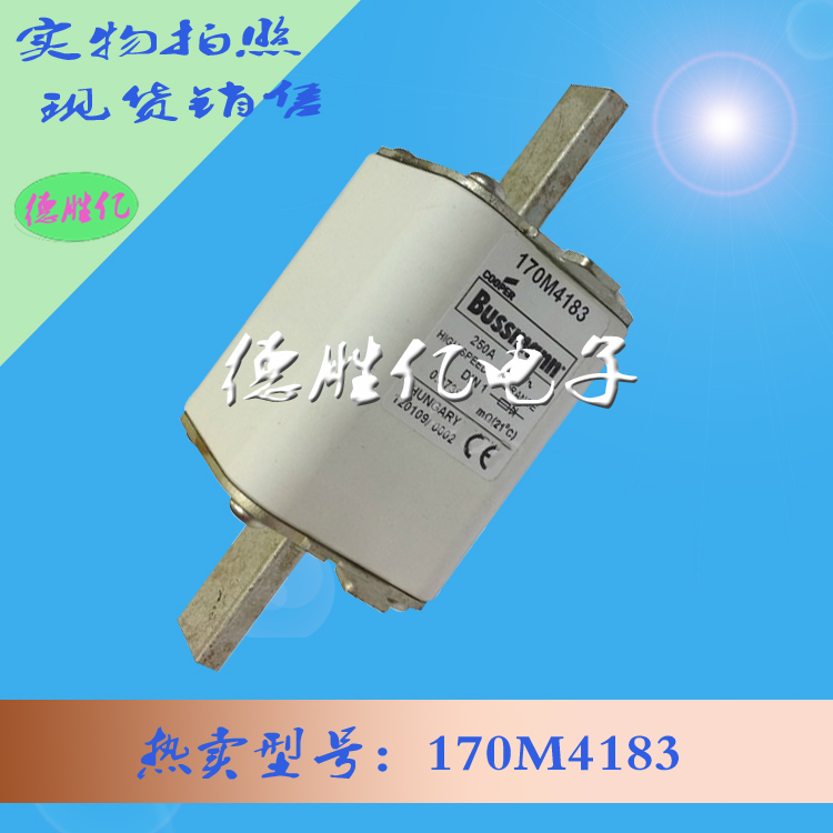 170M4183.jpg 170M4183.jpg