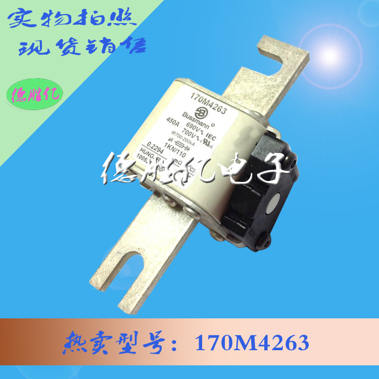 170M4263.jpg 170M4263.jpg