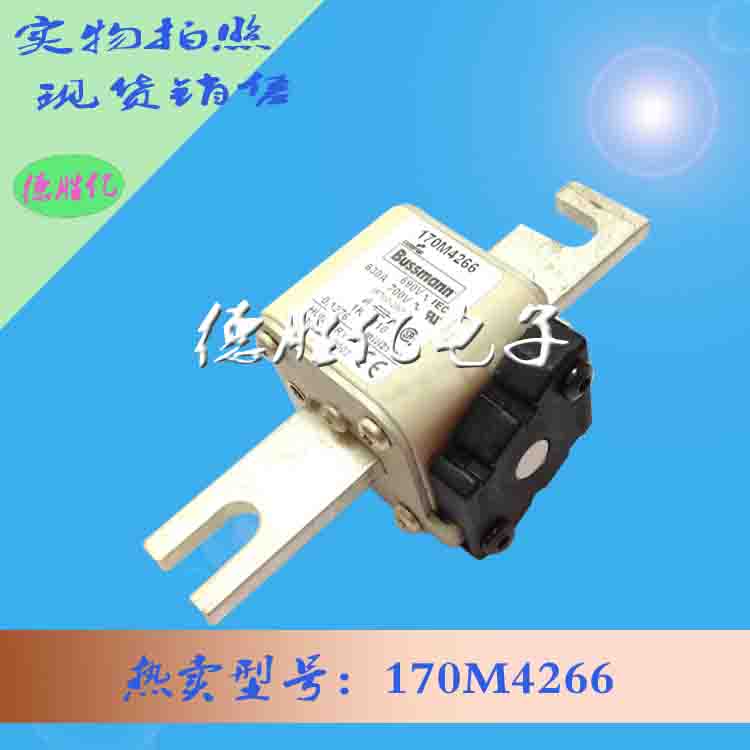 170M4266 1.jpg 170M4266 1.jpg