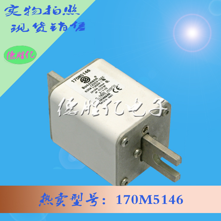 170M5146.jpg 170M5146.jpg