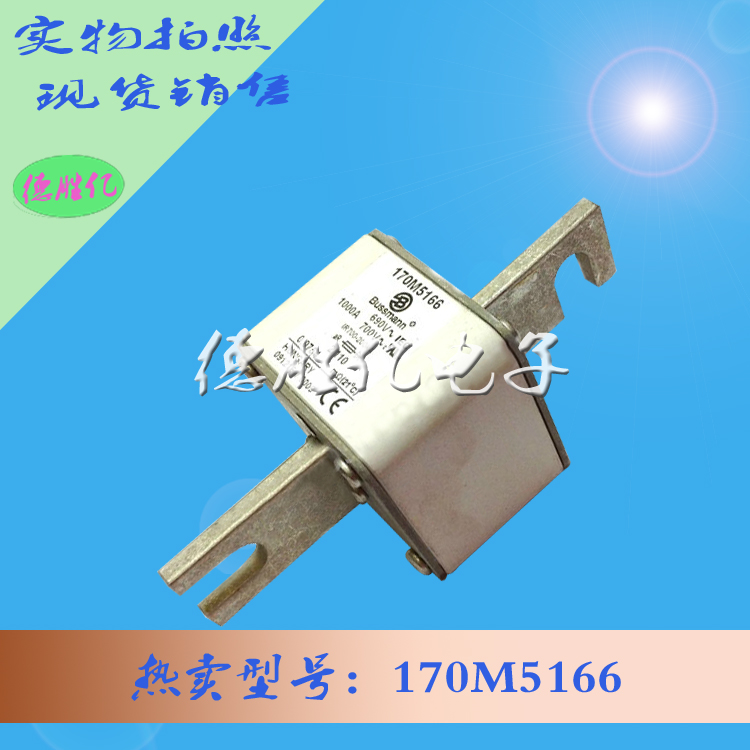 170M5166.jpg 170M5166.jpg