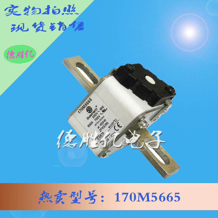 170M5665.jpg 170M5665.jpg