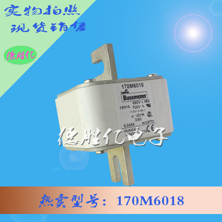 170M6018.jpg 170M6018.jpg